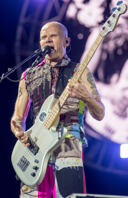 Flea (musician) profile Photo