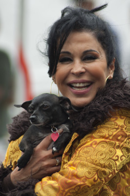 María Conchita Alonso profile Photo
