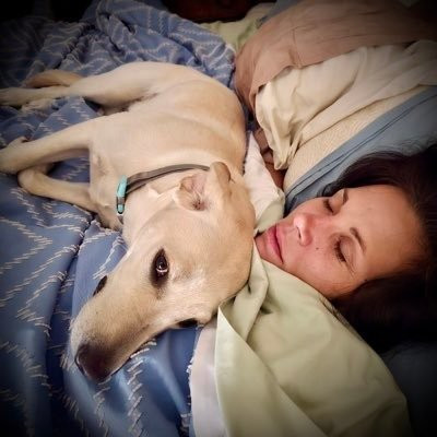 Mickie James profile Photo