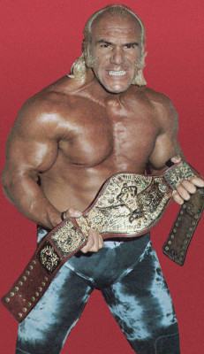 "Superstar" Billy Graham profile Photo