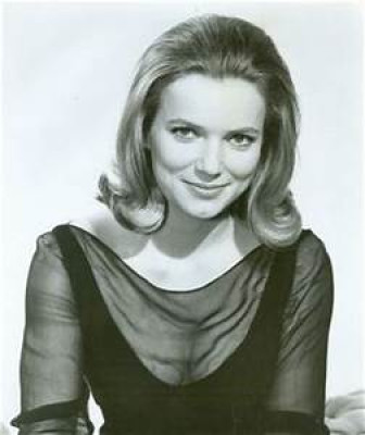 Suzan Farmer profile Photo