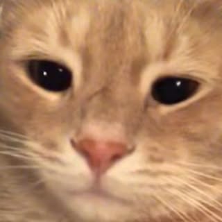 Jack Haven profile Photo