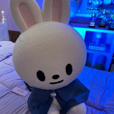 Lee Know profile Photo