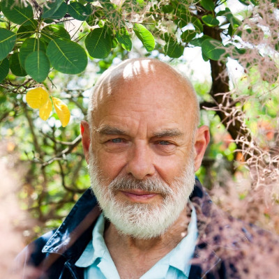 Brian Eno profile Photo