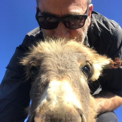 Jeffrey Dean Morgan profile Photo