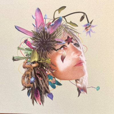 KT Tunstall profile Photo