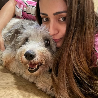 Trisha Krishnan profile Photo