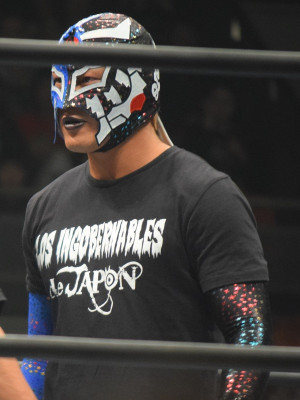 Bushi (wrestler)