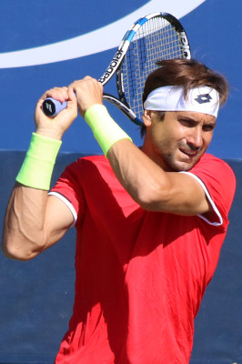 David Ferrer