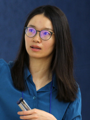 Hong Wang (mathematician)