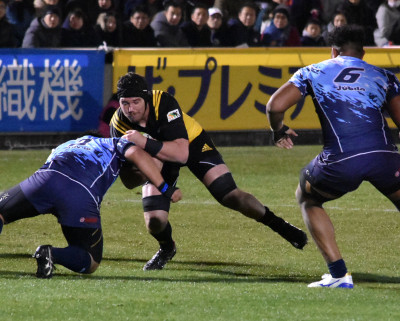 Joe Wheeler (rugby union)