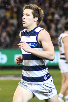 Lachie Fogarty