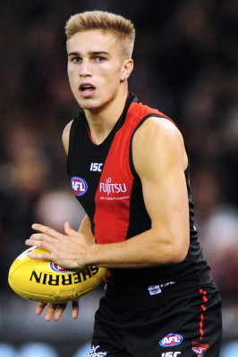 Matt Guelfi profile Photo