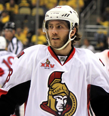 Mike Hoffman (ice hockey, born 1989)