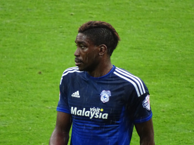 Sammy Ameobi
