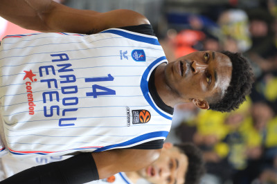 Stanley Johnson (basketball)