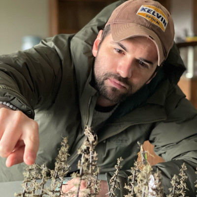 Dan Trachtenberg profile Photo
