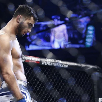 Gegard Mousasi profile Photo