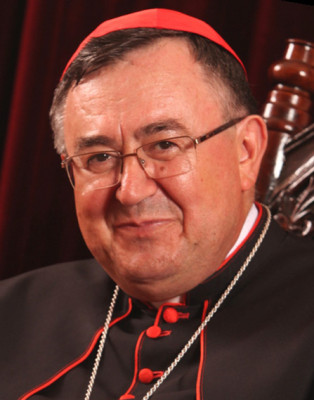 Vinko Puljić profile Photo