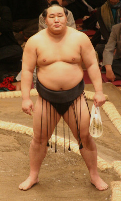 Asashōryū Akinori profile Photo
