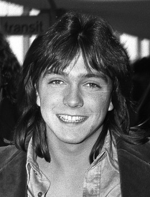David Cassidy profile Photo