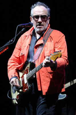 Elvis Costello profile Photo