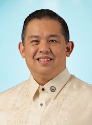 Martin Romualdez profile Photo