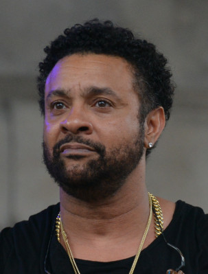 Shaggy (musician) profile Photo