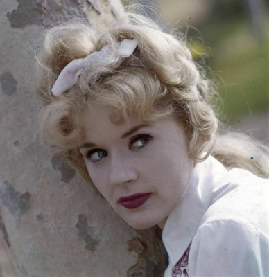 Connie Stevens profile Photo