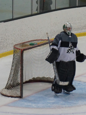 David Ayres profile Photo