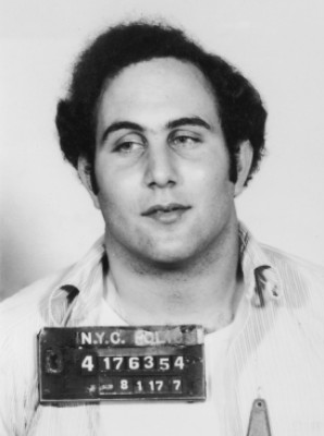 David Berkowitz profile Photo