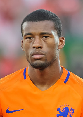 Georginio Wijnaldum profile Photo