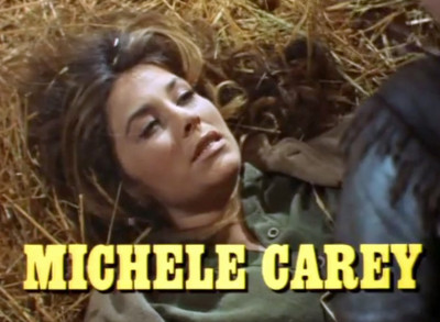 Michele Carey profile Photo