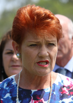 Pauline Hanson profile Photo
