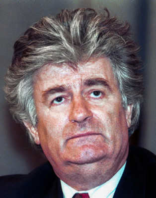 Radovan Karadžić profile Photo