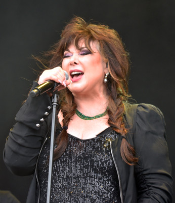 Ann Wilson profile Photo