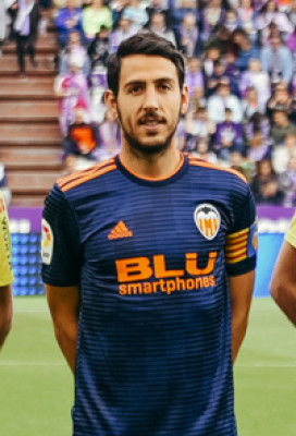 Dani Parejo profile Photo