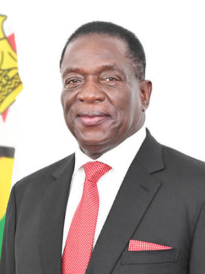 Emmerson Mnangagwa profile Photo