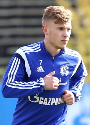 Max Meyer (footballer) profile Photo