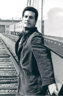 Peter Lupus profile Photo