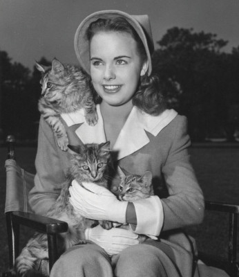 Terry Moore (actress) profile Photo