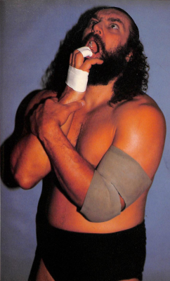 Bruiser Brody profile Photo