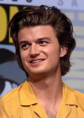 Joe Keery profile Photo