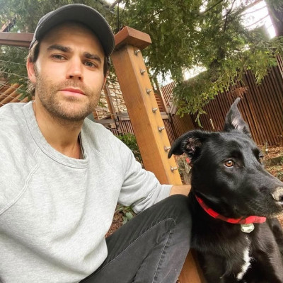 Paul Wesley profile Photo