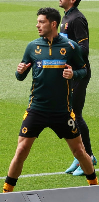 Raúl Jiménez profile Photo