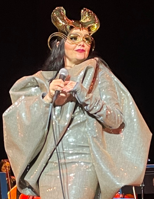 Björk profile Photo
