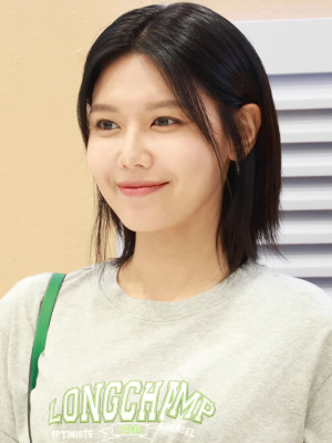 Choi Soo-young profile Photo