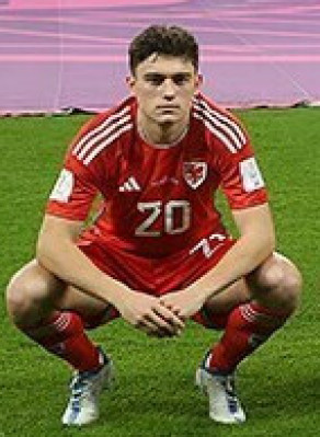 Daniel James (footballer) profile Photo