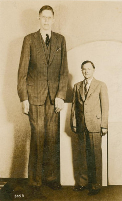 Robert Wadlow profile Photo