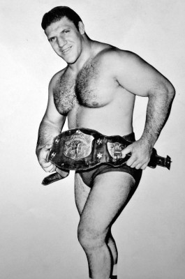 Bruno Sammartino profile Photo